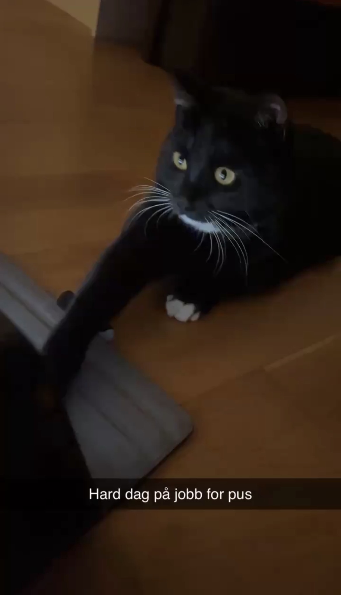 lilithjobb